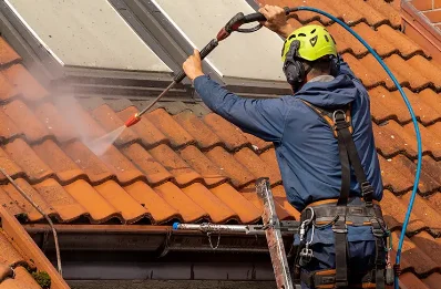Démoussage et hydrofuge de toiture à Rougemontot